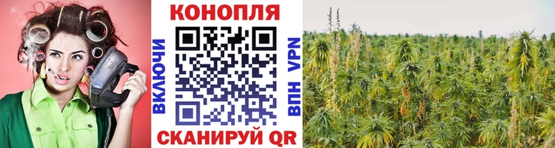Бошки марихуана ГИДРОПОН  Исилькуль 